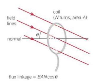 Magnetic Flux Linkage Flashcards | Quizlet