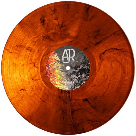 More Ok Orchestra Vinyl Concept Art : r/AJR