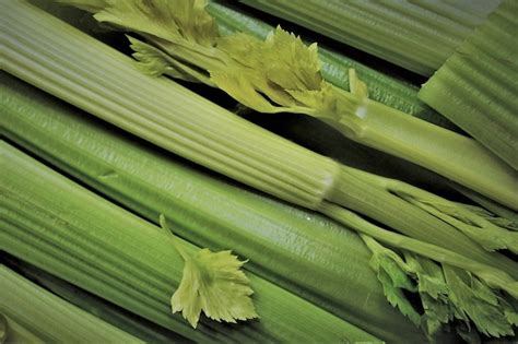 5 Health benefits of fiber-rich celery - Gospel News Network