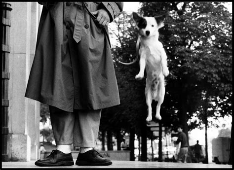 Elliott Erwitt: Dogs