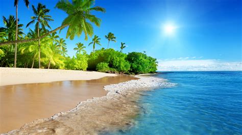 Download wallpaper 5120x2880 tropical beach, sea, calm, sunny day ...