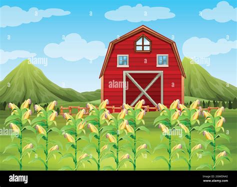 Field of corn and red barn Stock Vector Image & Art - Alamy