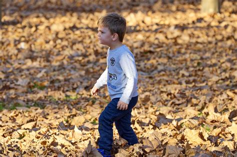 Kid Child Walking Dried - Free photo on Pixabay - Pixabay