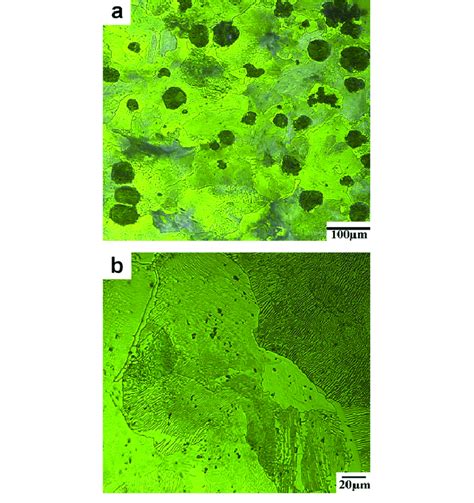 Microstructure of the base metal ductile cast iron, (a) at low... | Download Scientific Diagram