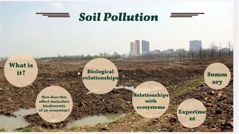 Soil pollution by Wilhelmina Zhang on Prezi