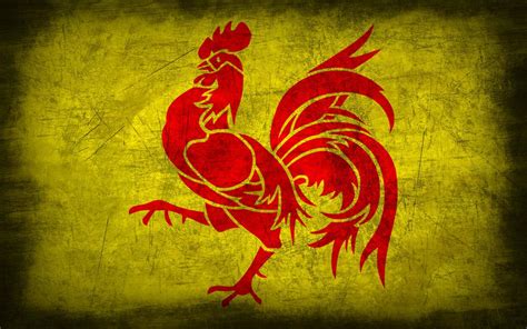 Wallonia Grunge Flag by Elthalen on DeviantArt