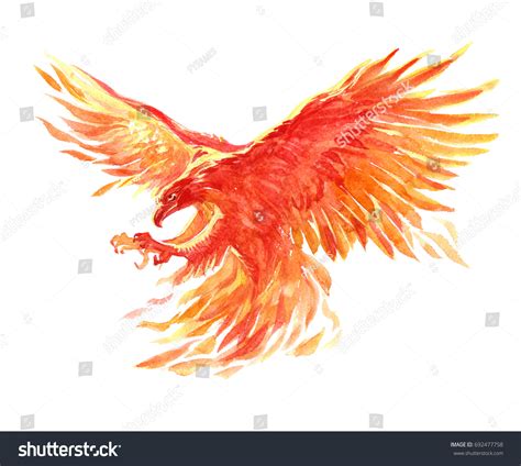 496 Phoenix bird watercolor Images, Stock Photos & Vectors | Shutterstock