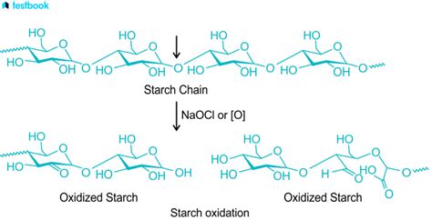 Starch : Learn Definition, Formula, Preparation, Properties here