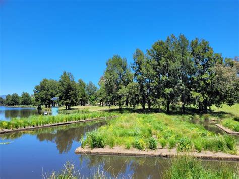 Floating Wetlands - Atlan Stormwater Australia