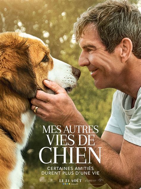 Mes autres vies de chien - Film 2019 - AlloCiné