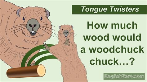 How Much Can A Woodchuck