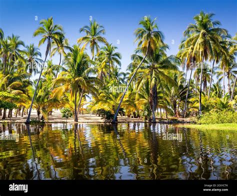 Paraiso Escondido beach on the Costa Grande of Guerrero, Mexico Stock ...