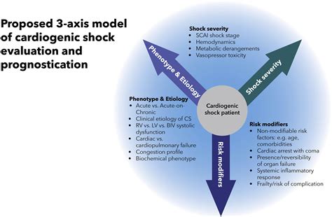 SCAI SHOCK Stage Classification Expert Consensus Update: A Review and Incorporation of ...