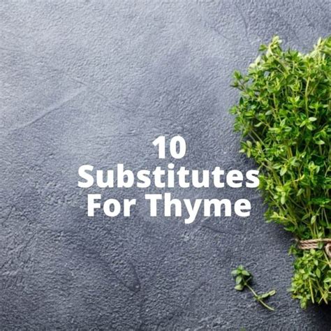 10 Substitutes For Thyme To Use In A Recipe (Fresh & Dried Herbs)