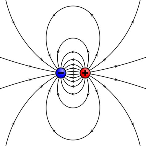 What is the Difference Between Electric Dipole and Magnetic Dipole | Compare the Difference ...