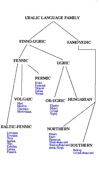 [UralicFAMILY.gif] | Language history, Language, Language family tree