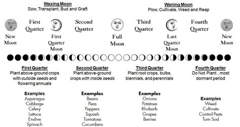 Farmers Almanac Planting Guide By The Moon - Arm Designs