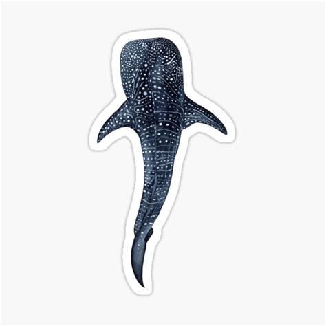 "WHALE SHARK II" Sticker for Sale by bananaflamingo | Redbubble