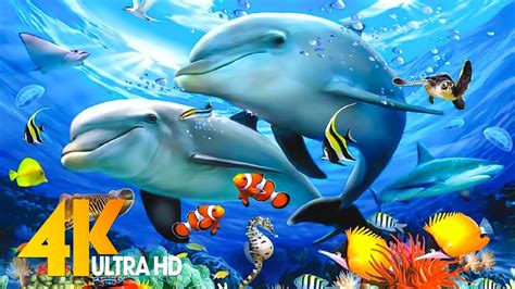 Aquarium 4K VIDEO (ULTRA HD) 🐠 Sea Animals With Relaxing Music - Rare & Colorful Sea Life Video ...