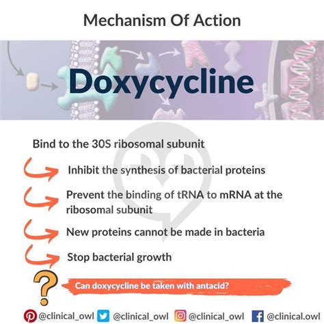 Abrechnungsfähig Infizieren Kritiker doxycycline mechanism of action ...