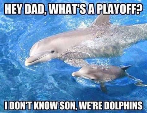 dolphin playoffs meme • Waterfront Properties Blog