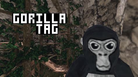 Gorilla Tag: Das beliebteste VR-Spiel bekommt Quest-Vollversion
