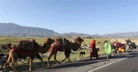 Jalalabad Weather : Weather and meteo conditions on thursday29julyin jalalabad.