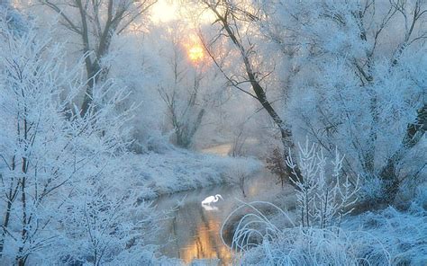 Frosty Winter Wallpapers - Top Free Frosty Winter Backgrounds ...