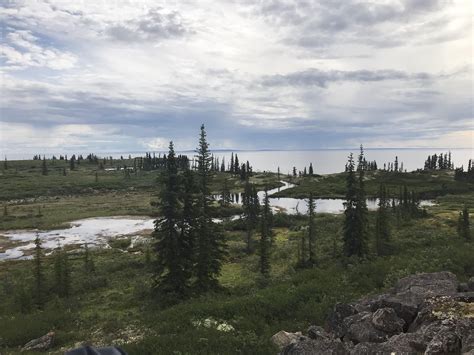 Great Bear Lake, NWT, Canada [1440x1080] : r/EarthPorn