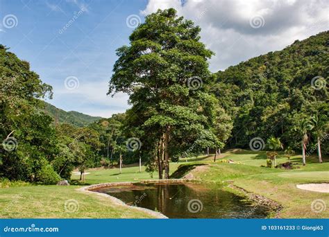 Nature Photography, Relaxing in Venezuela. Stock Image - Image of hotel ...