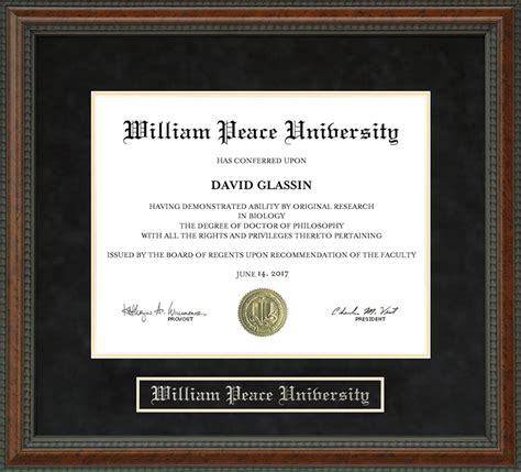 William Peace University Diploma Frame: Wordyisms