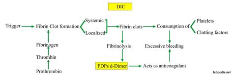 Fibrinogen Degradation products (FDP) or Fibrin split products (FSP), and d-Dimer – Labpedia.net