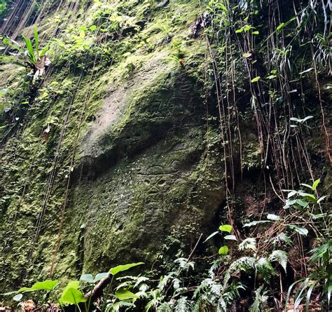 9 Nature Trails For Hiking In Montserrat | Caribbean & Co.