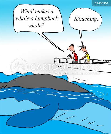 Whale Watcher Cartoons and Comics - funny pictures from CartoonStock