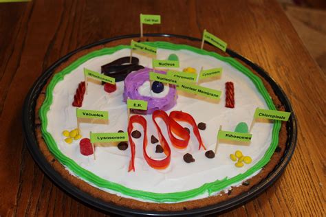 Make a Cell Science Project with a Cookie Cake!