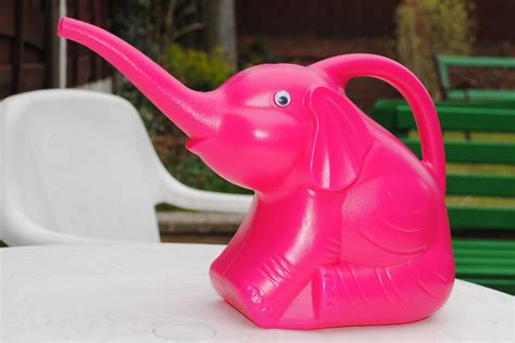 Pink Elephant Watering Can Free Stock Photo - Public Domain Pictures