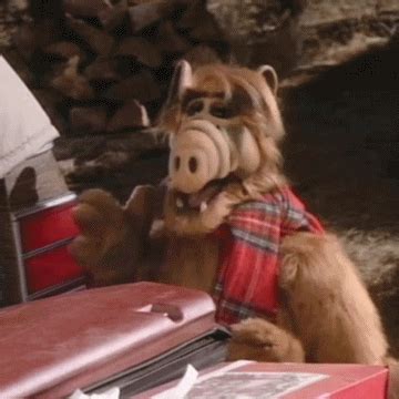 Alf'S Special Christmas GIFs - Find & Share on GIPHY