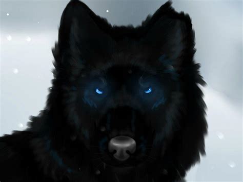 Blue Wolf Eyes Wallpapers HD - Wallpaper Cave