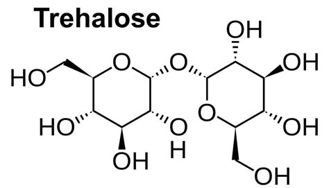 Trehalose sugar sources, uses in foods and trehalose side effects