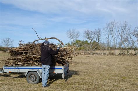 Loading a trailer stock photo. Image of outdoors, farmer - 24079894