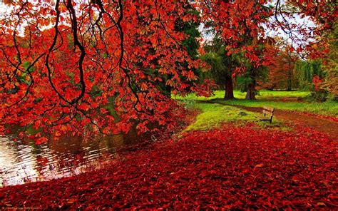 🔥 [36+] Wallpapers Autumn Scenery | WallpaperSafari