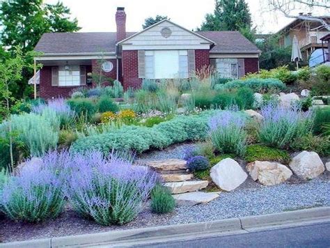 tips for landscaping #landscapingthegardenonabudget | Front yard landscaping design, Xeriscape ...