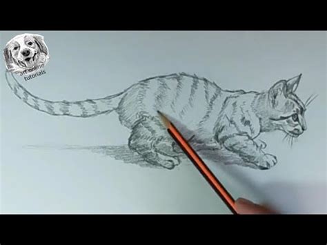 Details 74+ realistic animal sketches super hot - in.eteachers