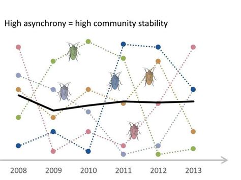 Stability in ecosystems: Asynchrony of species is more important than diversity