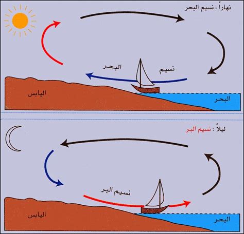 الثقافة العلمية: نسيم البحر، ونسيم البر