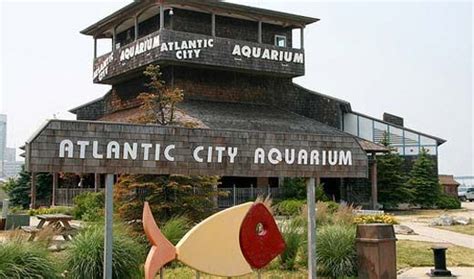 Atlantic City Aquarium | Atlantic city aquarium, Atlantic city ...