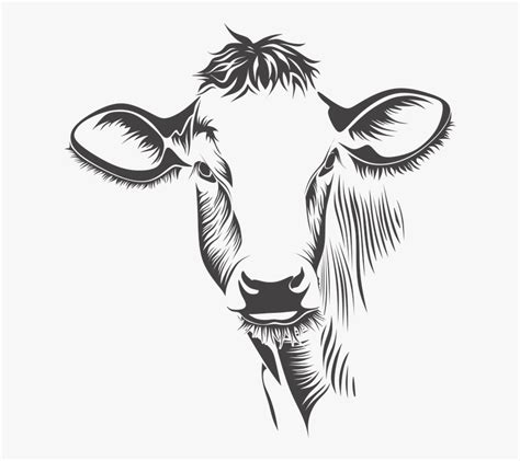 Transparent Cow Clipart Black And White - Cow Face Line Art , Free Transparent Clipart - ClipartKey