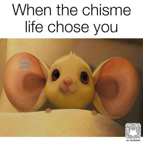 Yo dont choose the chisme, the chisme choose you | Chismes, Chisme meme ...