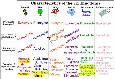 THE SIX KINGDOMS. by haley | Teaching biology, Apologia biology ...