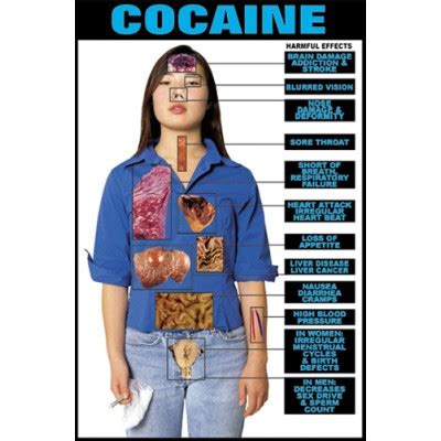 Harmful Effects Cocaine Chart